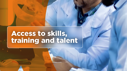 Access to skills,  training and talent image 
