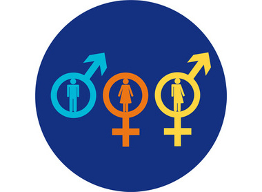 APSCo Gender.jpg